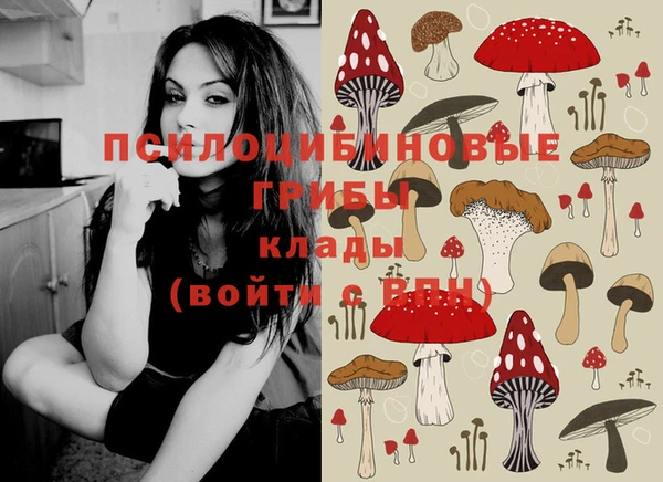 дживик Богданович
