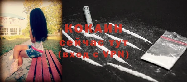 МДПВ Богородск