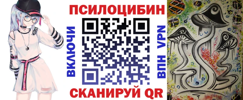 Галлюциногенные грибы Psilocybine cubensis Нестеров