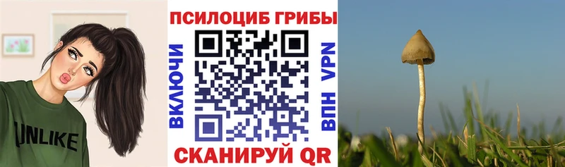 Галлюциногенные грибы GOLDEN TEACHER Нестеров